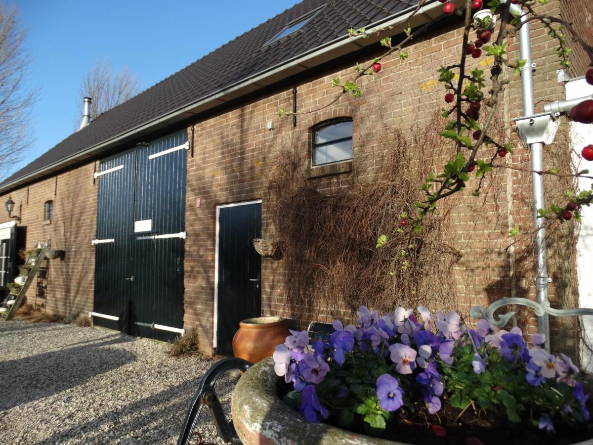 B & B 'Droom In De Polder De Suite Met Prive Sauna Arnemuiden Zewnętrze zdjęcie